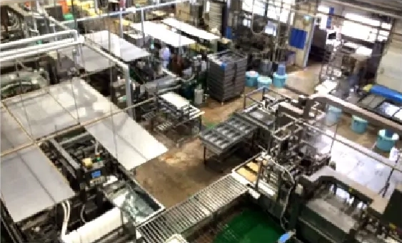 Tofu Production Line(NC Line)